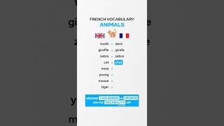 Animals French Vocabulary 🇫🇷