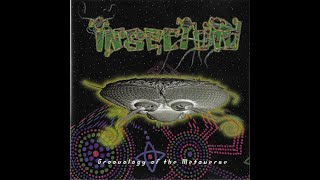 Insectoid - Groovology Of The Metaverse