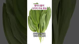 "명이나물"의 주요 효능 3가지