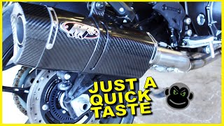 2022 Hayabusa M4 Exhaust | First startup post install