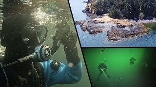 Scuba Diving Oak Leaf Point  | Nanaimo, BC