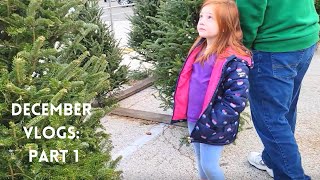 December 2021 Vlogs Part 1: Getting our Christmas Tree and Santa Pictures