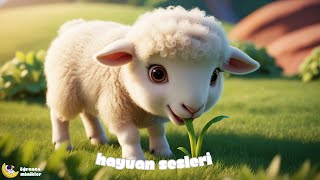 Hayvan Sesleri Şarkısı 🐑🐦🐝🐸 | Eğlenceli Çocuk Şarkısı | Eğitici Bebek Şarkısı