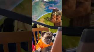 Actual footage of me trying my best #fortnite #gaming #chapter5season2 #fortniteclips #funnymoments