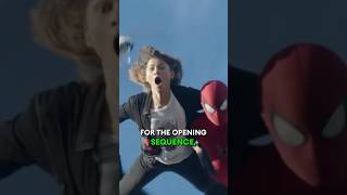 Zendaya On Stunts For Spider-Man: No Way Home