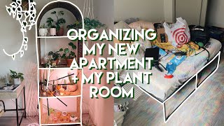 VLOG | organizing the new apartment  + my new plant room!