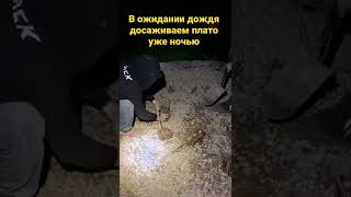 Сожаем уже в ночи .. завтра дождь