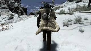 Skyrim Nolvus Snow bug