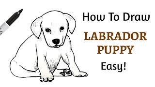 How To Draw A LABRADOR RETRIEVER PUPPY! Step-by-step Tutorial On Drawing A Dog EASY!