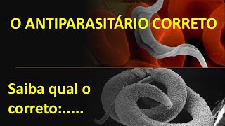 Antiparasitário correto : Saiba qual o antiparasitário para cada PARASITOSE..