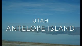 Utah ROCKS! Antelope Island