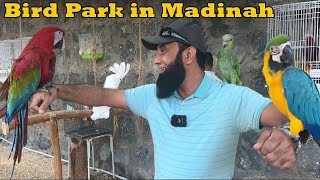 Birds Park near Masjid Quba in Madinah Munawarah, Saudi Arabia 2023