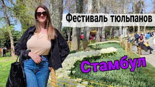 Фестиваль тюльпанов в Стамбуле 2022. Самые красивые парки Стамбула Гюльхане и Йылдыз