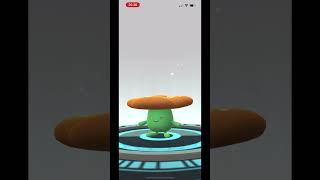 Evolving GLOOM SHINY to VILEPLUME SHINY | Pokémon Go