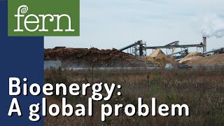 What is bioenergy? A global problem