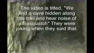 "...Cave hidden....hear noise of Sasquatch" video enlightened