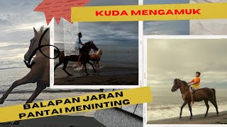 Kuda Terbang Di Pantai Meninting.  // Balap Jaran.