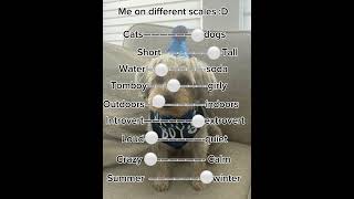 Me on different scales #slay #trendingshorts