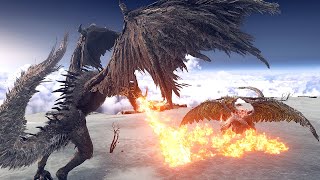 Can ANY DLC Boss Survive 5 Flying Dragon Greylls ⚔️ Elden Ring Shadow of The Erdtree DLC