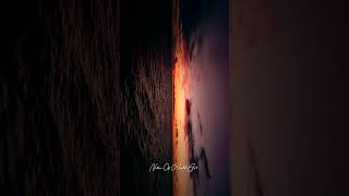 Free fall into the sea sunset🤩❤️‍#shorts #short #shortvideo #youtubeshorts #natureslover #viralvideo