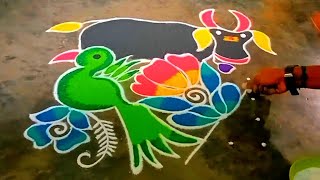 🌾🌾mattu pongal 2024 special 🦜rangoli 7*7 dot |🌹 thai pongal kolam |🐃gangireddu muggulu| pot rangoli