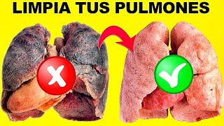 3 plantas que puedes preparar para limpiar y purificar tus pulmones. Recetas caseros