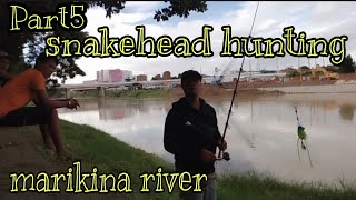 Part5 fishing hunting Snakehead  using soft frog lure | Marikina river