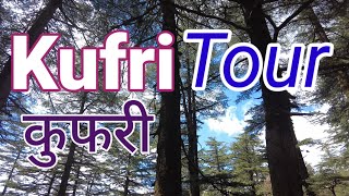 Kufri😙 Tourist Places || कुफरी टूर ||Shimla to Kufri || Himachal Pradesh Tourist Places ||