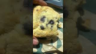 Starbucks Blueberry Scone Taste Test #Shorts #Starbucks #Scones #Blueberry #rating #review