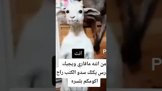 من انت ما قاري ويجيك المدرس يكلك سدو الكتاب راح اكومكم بالسره 😂