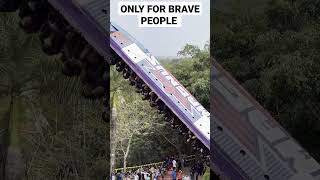 brave people