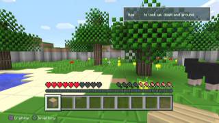 PS3 Minecraft Texture Pack Mods