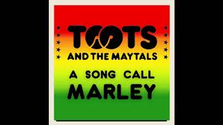 Toots and the Maytals - "A Song Call Marley"