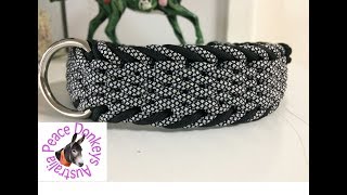 How to make an Endless falls paracord dog collar - semi-adjustable