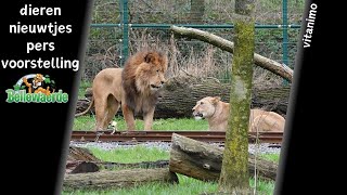 dierennieuwtjes (persvoorstelling) @ Bellewaerde