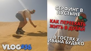 🔴  Серфинг в Пустыне и Как перехать в Дубай | Влог Бизнес изнанка | Игорь Граф