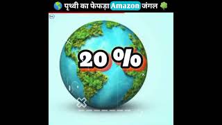 Lungs of The Earth Amazon Forest 🌳🌍| पृथ्वी का फेफड़ा अमेज़न जंगल #shorts #ytshorts #viralvideos