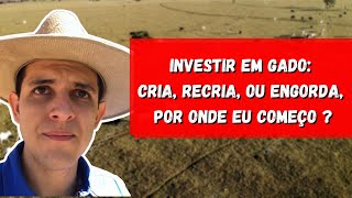 INVESTIR EM GADO: CRIA, RECRIA OU ENGORDA. POR ONDE COMEÇAR ? #1