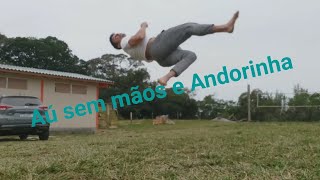 Aú sem mão e andorinha (algumas variações e ligações)