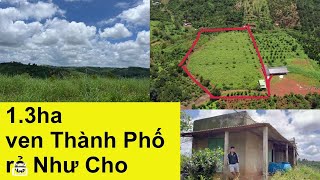 Bán gấp(13374m2) đất rẫy gần thành phố gia nghĩa cách quốc lộ 14A 700 mét giá rẻ