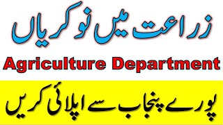 Agriculture Job in Punjab 2022 | Agriculture Department Recruitment 2022 | Punjab Govt Jobs 2022