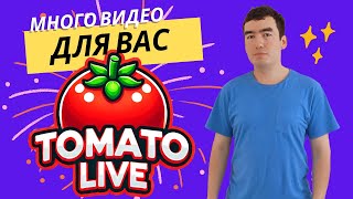 много видео для вас #Tomato #live #video #like