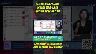 5조원대 무기 구매 K방산 큰손 나서 방산주 상승 #퍼스텍