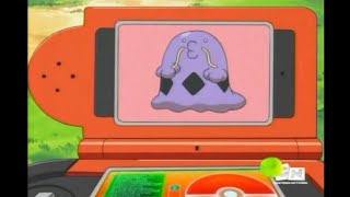 Gulpin and Swalot Pokédex Entries..wmv