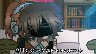 || Ну типо просто милое видео | •|🔆|• | Автор/Вилка, @ni_avi ||