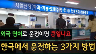 국제 운전 면허증 (IDP) 한국 운전면허증 교환법 (꿀팁)