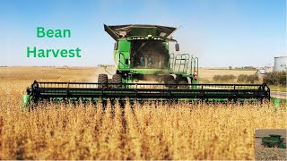 Bean Harvest | Forest River, ND | Grain Farm