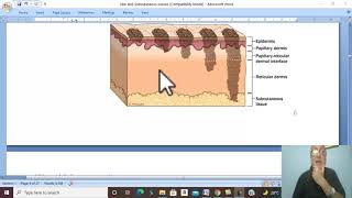 Skin and subcutaneous tissues in Arabic 6 (Melanoma) , by Dr. Wahdan