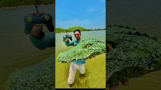 Rc biggest Crocodile #rc #remotecontrol