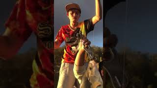 Monster fish catch in Boat fishing Australia #shorts